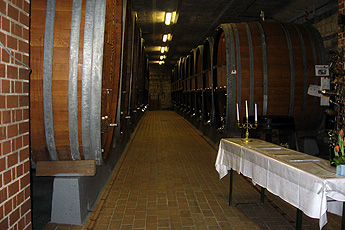 Wooden barrels for the red wine Wooden barrels for the red wine