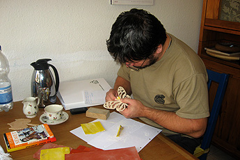 Creativity program/Language student from Hungary Creativity program/language student from Hungary