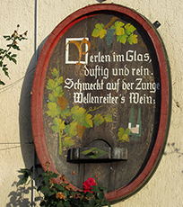 Wein-Weisheiten Wein-Weisheiten