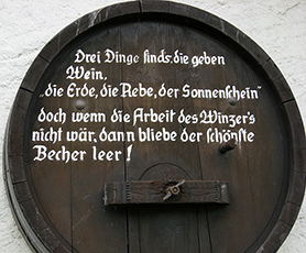 Wein-Weisheiten Wein-Weisheiten