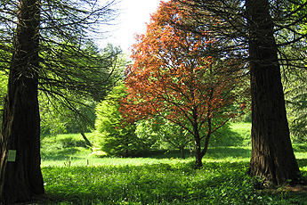Arboretum Liliental Arboretum Liliental