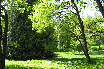 Arboretum Liliental Arboretum Liliental