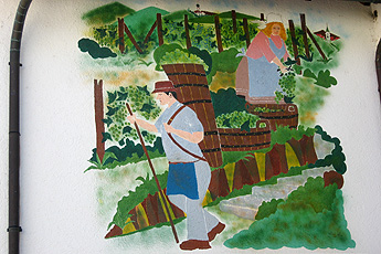 Weinernte in alter Zeit Weinernte in alter Zeit