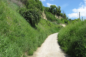 Von Bötzingen zum Vogelsangpass Von Bötzingen zum Vogelsangpass