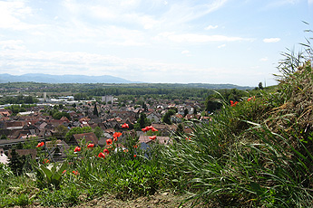 Von Bötzingen zum Vogelsangpass