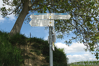 Wegweiser Knabenkrautpfad Wegweiser Knabenkrautpfad