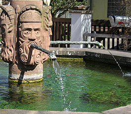 ...und er auch! ...und er auch!