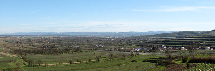 Blick vom nördlichen Kaiserstuhl in die Rheinebene Blick vom nördlichen Kaiserstuhl in die Rheinebene